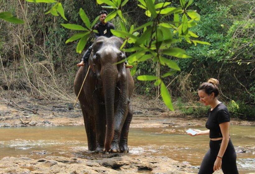 Bed and Breakfast La Villa Hortensia Mondulkiri