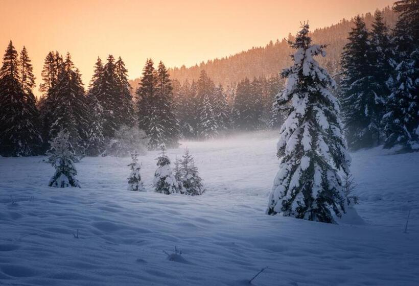 مبيت وإفطار Villa Valtin