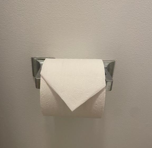 Отель Anavada Inn & Suites Grande Prairie