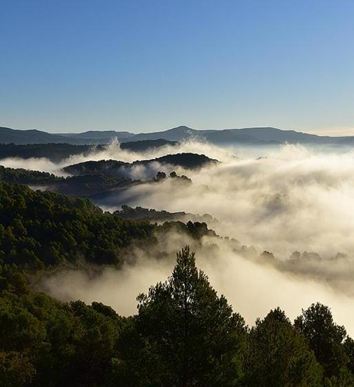 호텔 Balcó Del Priorat