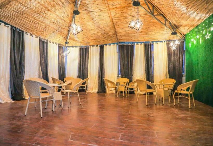 בית מלון כפרי The Royal Fern