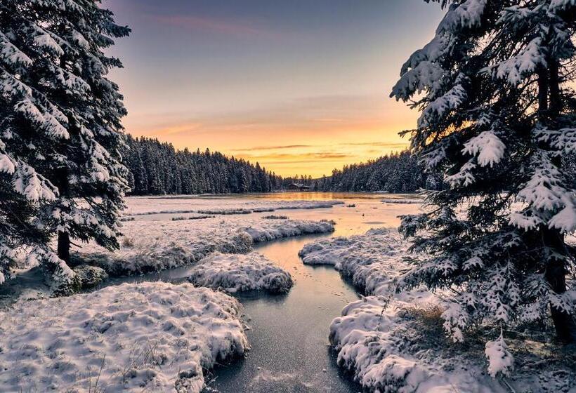 Das Kronberg Hotel Adults Only Inkl Soft Und Heißgetränkeflat