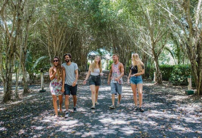 هتل El Campito Lodge