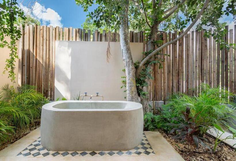 هتل Faisano Nomadas