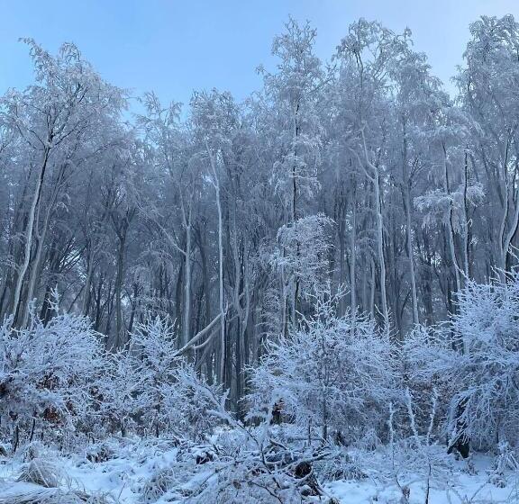 בית מלון כפרי Galeria Pezinska Baba