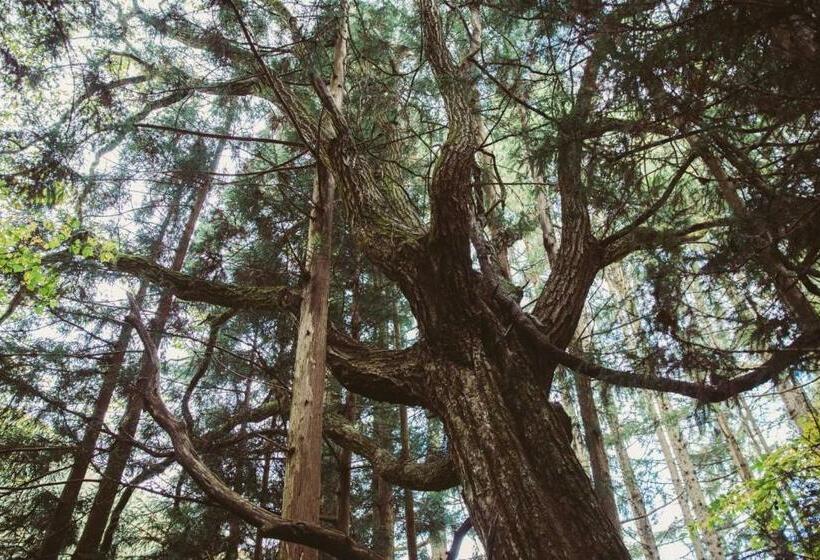 Отель La Terra Naganoーvacation Stay 80689v