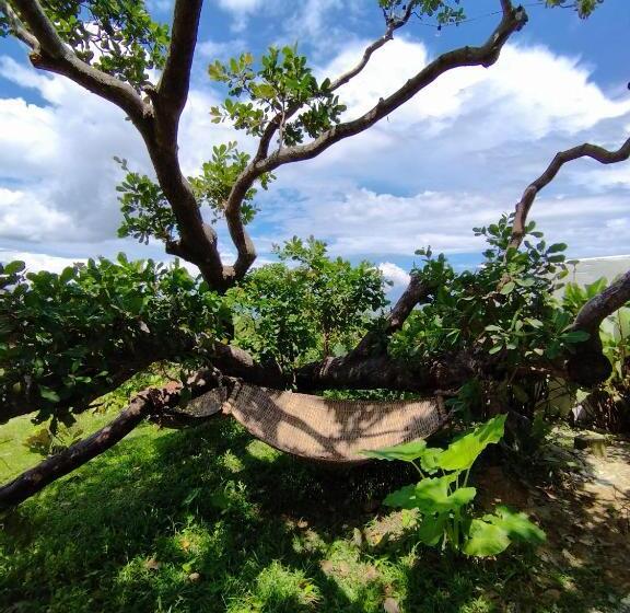 ホテル Ocean Green Eco Lodge