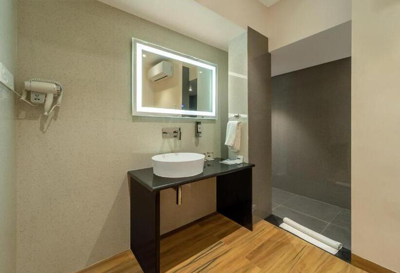 Отель Shyama Sarovar Portico