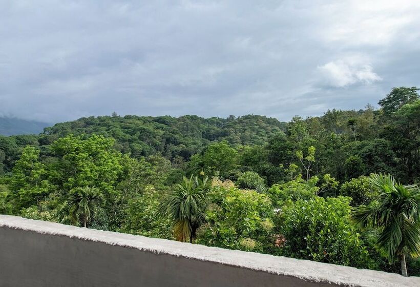 Отель Treebo Trend Chembra Residency