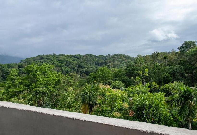 Отель Treebo Trend Chembra Residency