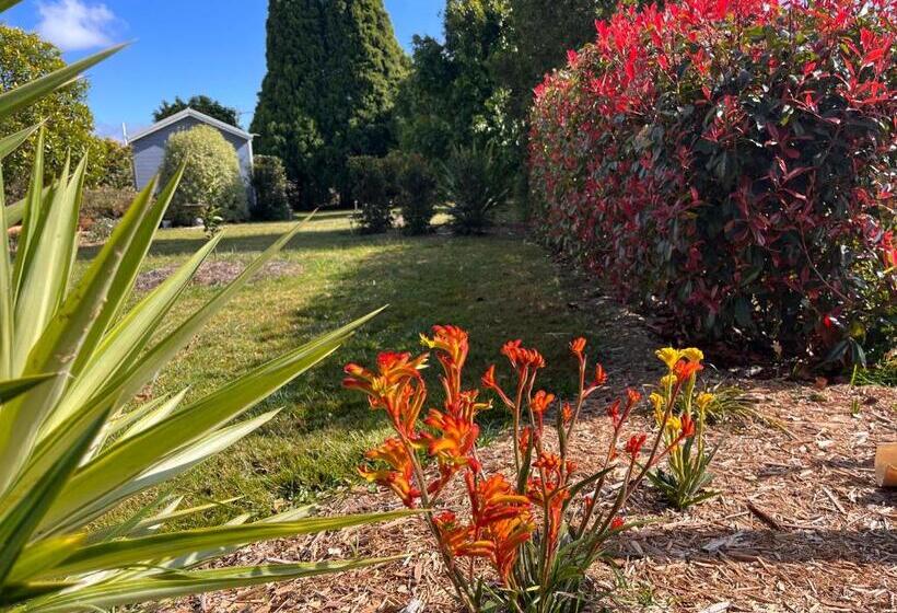 פנסיון Apple Tree Cottage  Comboyne Mountain Cottages