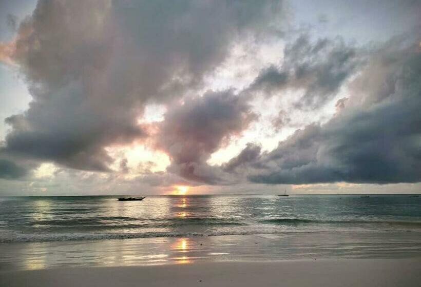 Пансион Baraka House