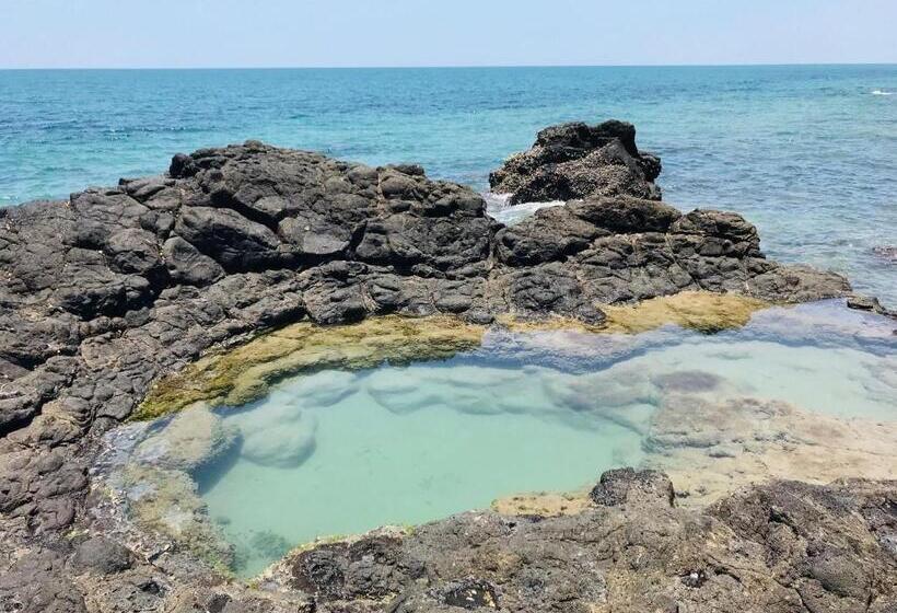 بنسيون Billys Beach House Elliott Heads