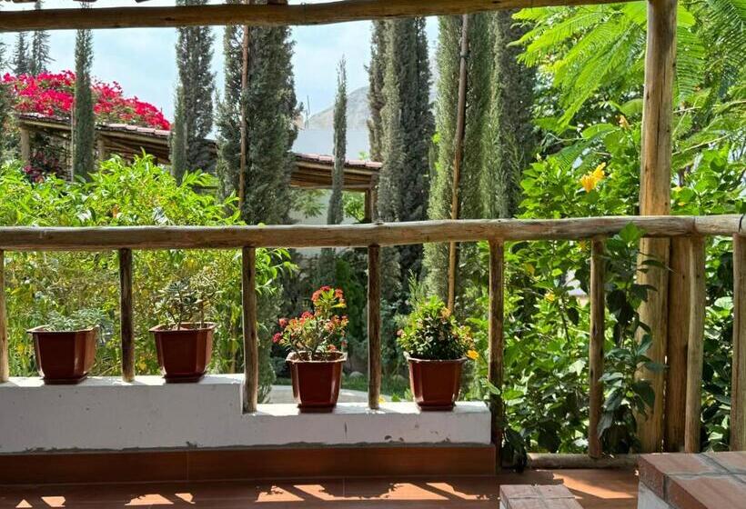 بنسيون Casa Hotel Mamaluna