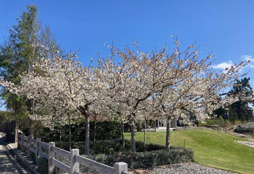 پانسیون Lookout Escape Studio, Alexandra