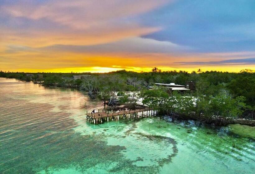 פנסיון Medusa Hostel Isla Tintipan