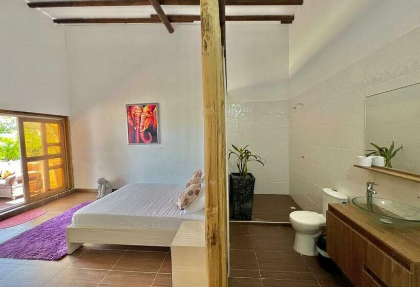 פנסיון Medusa Hostel Isla Tintipan