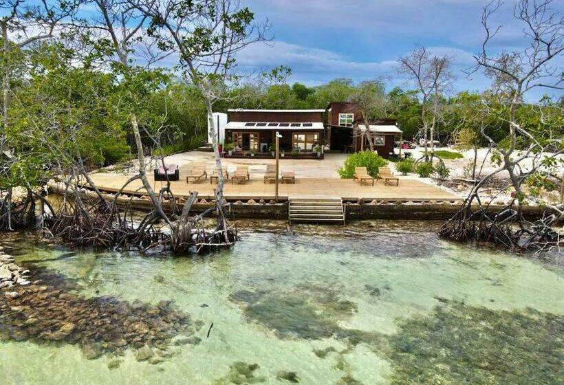 פנסיון Medusa Hostel Isla Tintipan