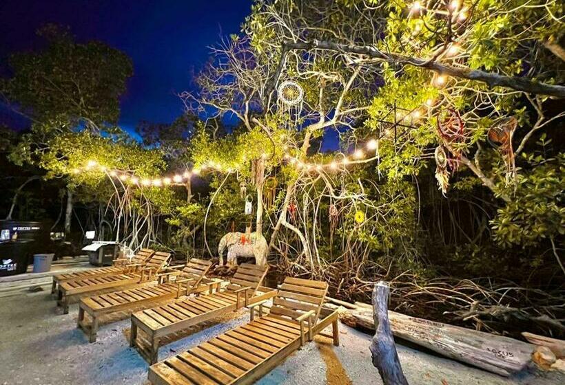 פנסיון Medusa Hostel Isla Tintipan