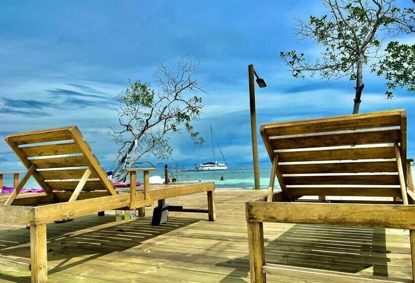 פנסיון Medusa Hostel Isla Tintipan