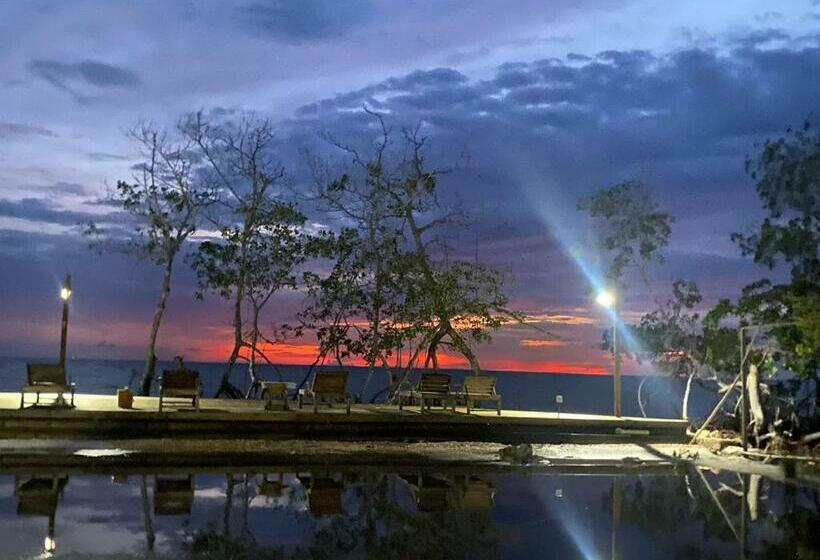 פנסיון Medusa Hostel Isla Tintipan