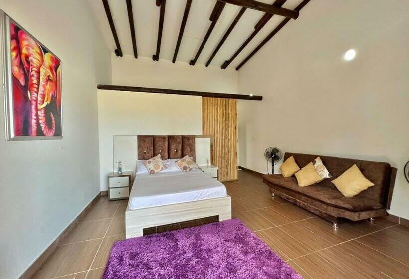 פנסיון Medusa Hostel Isla Tintipan