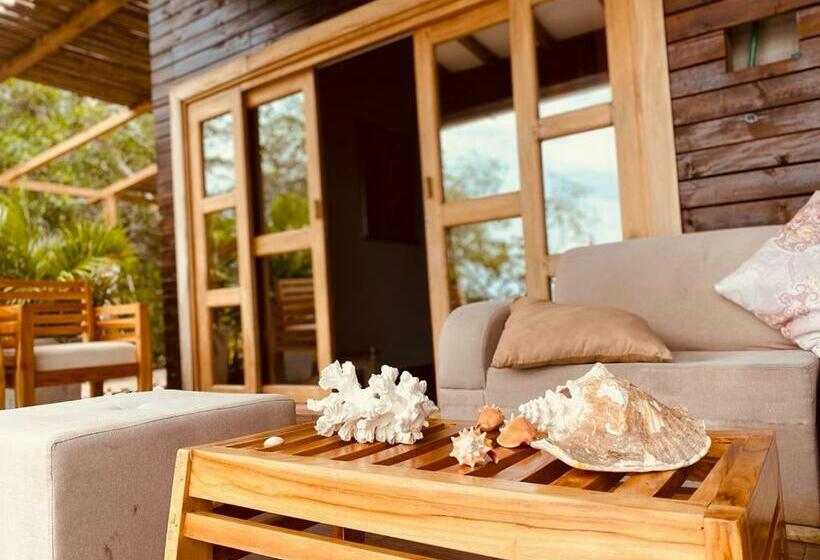 פנסיון Medusa Hostel Isla Tintipan