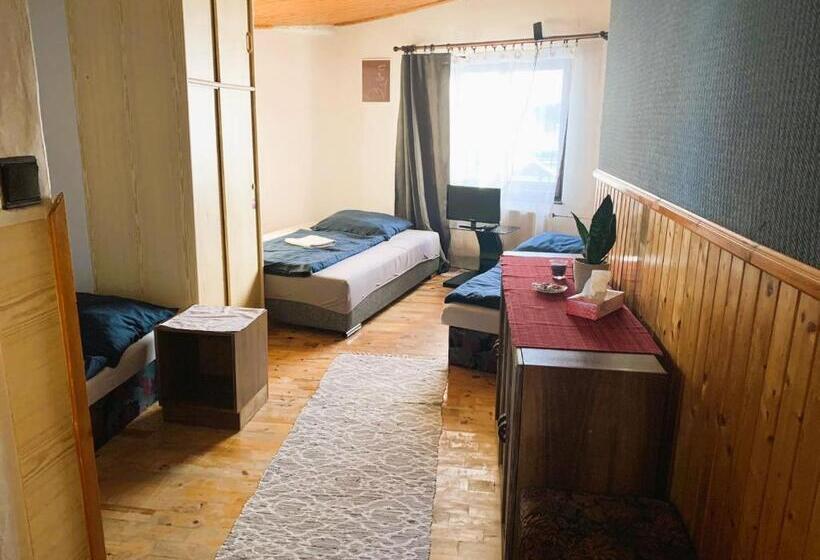 بنسيون Penzión Alex