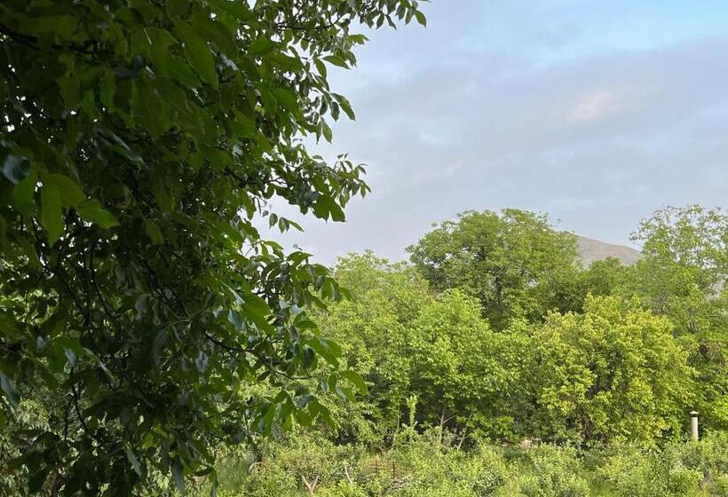 ペンション Roman S Guest House In Garni