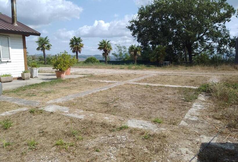 بنسيون Roomsfree!!!!