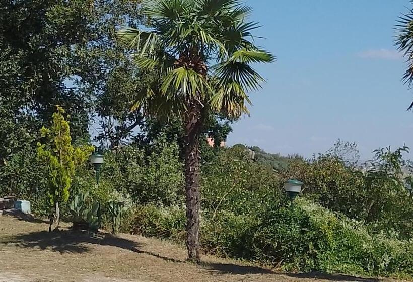 بنسيون Roomsfree!!!!