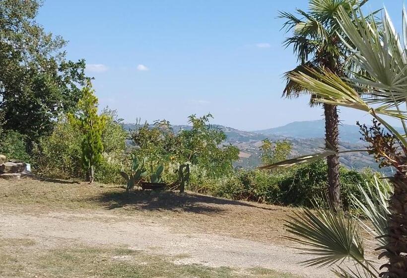 بنسيون Roomsfree!!!!