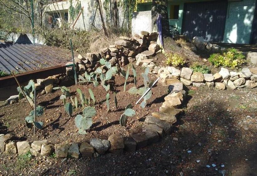 بنسيون Roomsfree!!!!