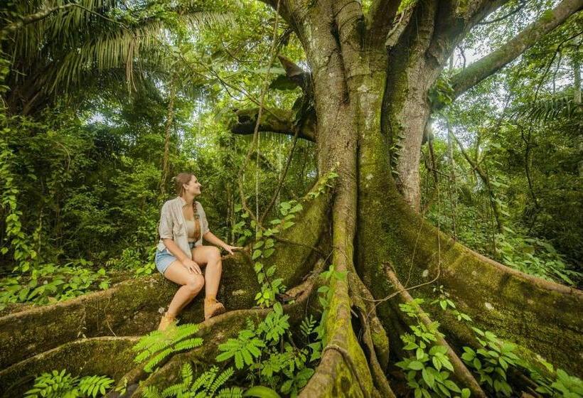 پانسیون Rosa S House