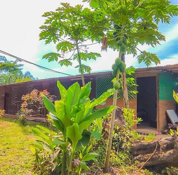 پانسیون Rosa S House