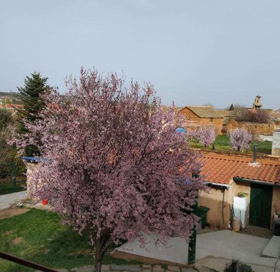 Albergue Peregrinos Casaflor