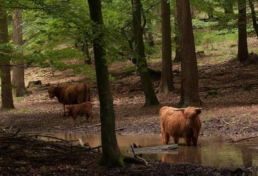 B&b Aan De Koningsmuur