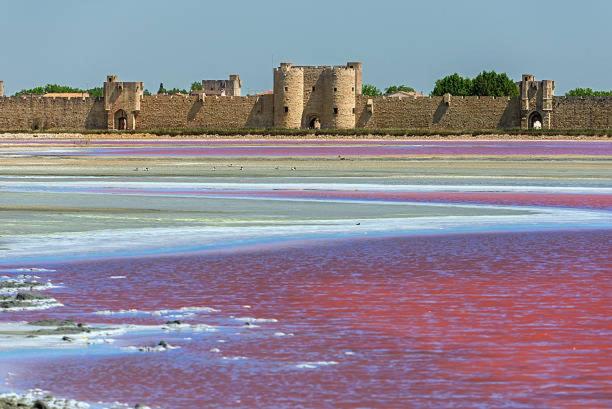 تختخواب و صبحانه Chambres Calmes Dans Villa Pérols Prêt Parc Expo Arena 1km Aéroport 3km Gare Tgv 4km Plages 5km Carn