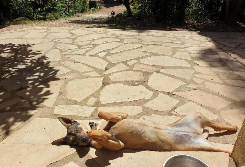 צימר Chambres D Hôtes Dans Propriété Rurale