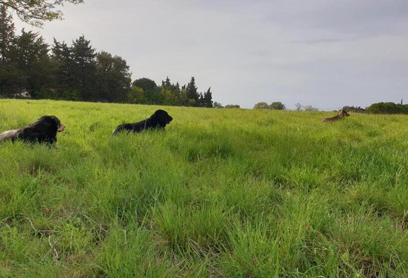 צימר Chambres D Hôtes Dans Propriété Rurale