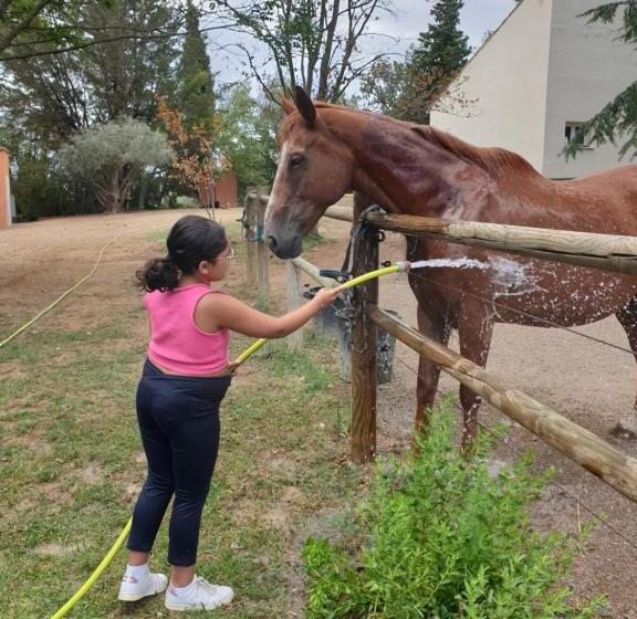Bed and Breakfast Chambres D Hôtes Dans Propriété Rurale