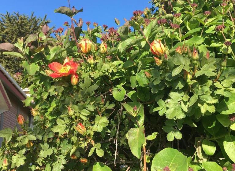 مبيت وإفطار Estación Náutica   Aeropuerto