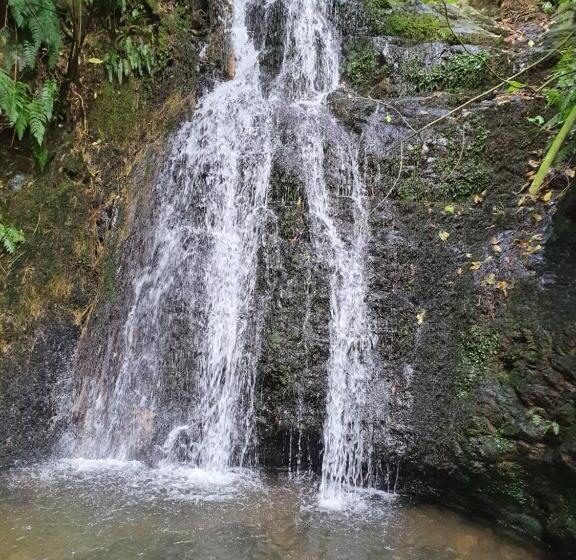 צימר Glenwood Akaroa Bush Retreat   Kanuka Hut