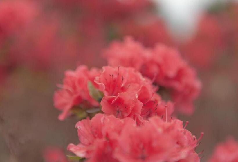 ベッドアンドブレックファースト Hessener Esch