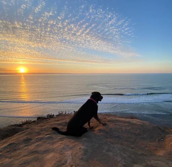 ベッドアンドブレックファースト Malibu Hostal Boutique