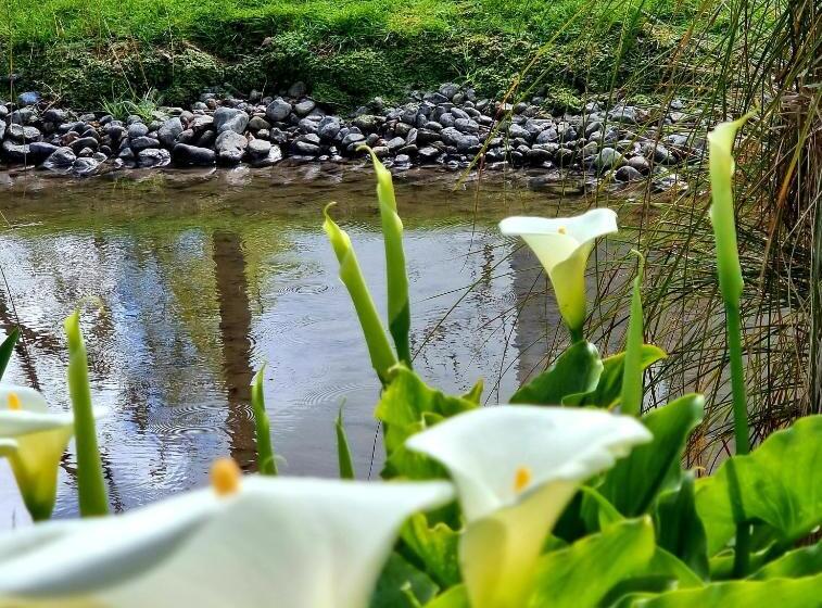 צימר The Greytown Loft