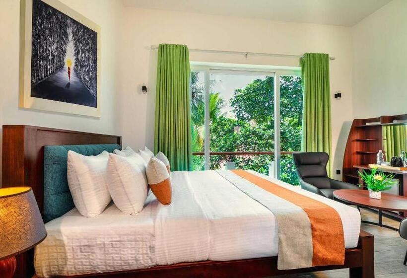 Bed and Breakfast The Palace By Ocean