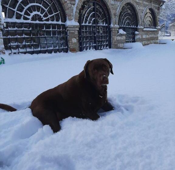 Bed & Breakfast Villa Monterosso