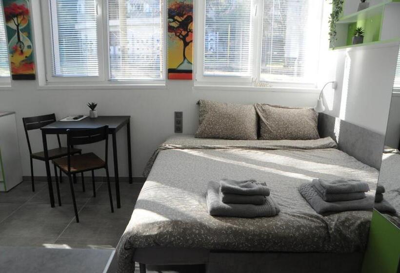 Dorm Bg Pet Friendly Apart