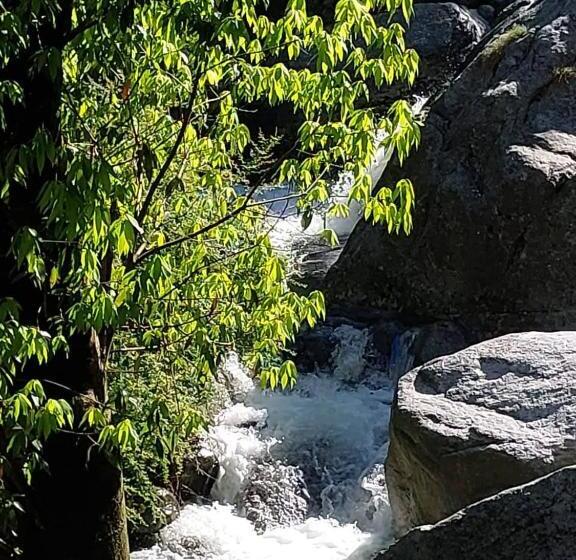 هتل Paradise Hills Dalhousie Panchpula   Near Panchpula Water Fall